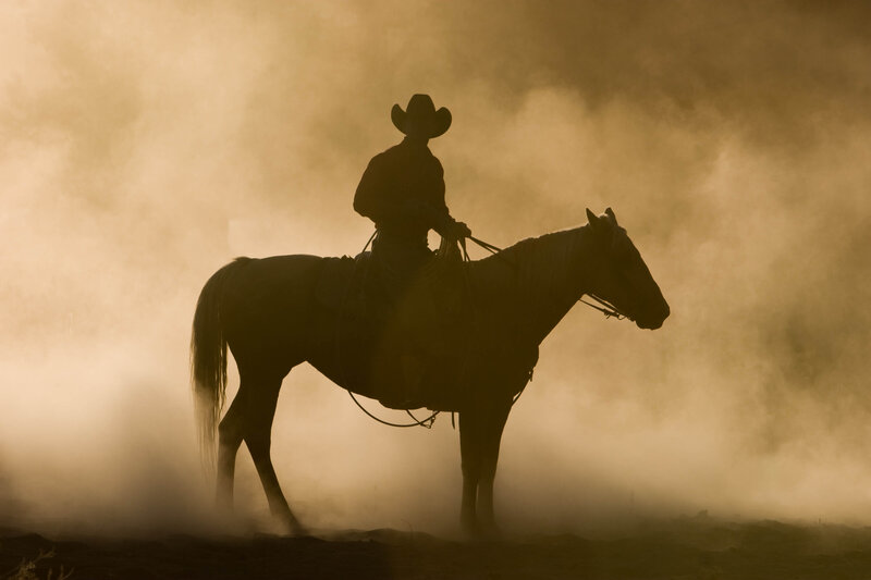 wenatchee-horse-photographer-yellowstone-horse-photos (14)
