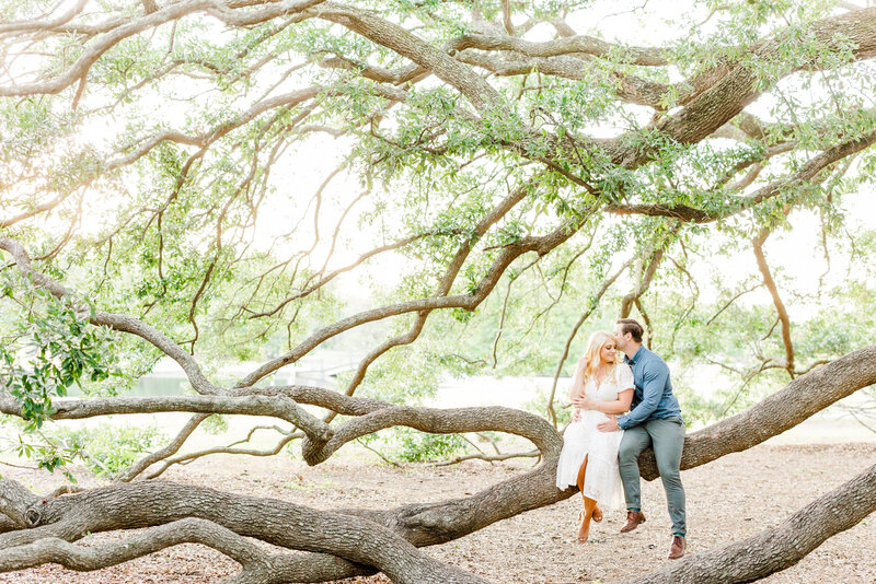 couple sitting on oak tree at hampton park charleston