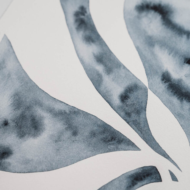 Watercolor kelp painting in indigo by Amy Duffy
