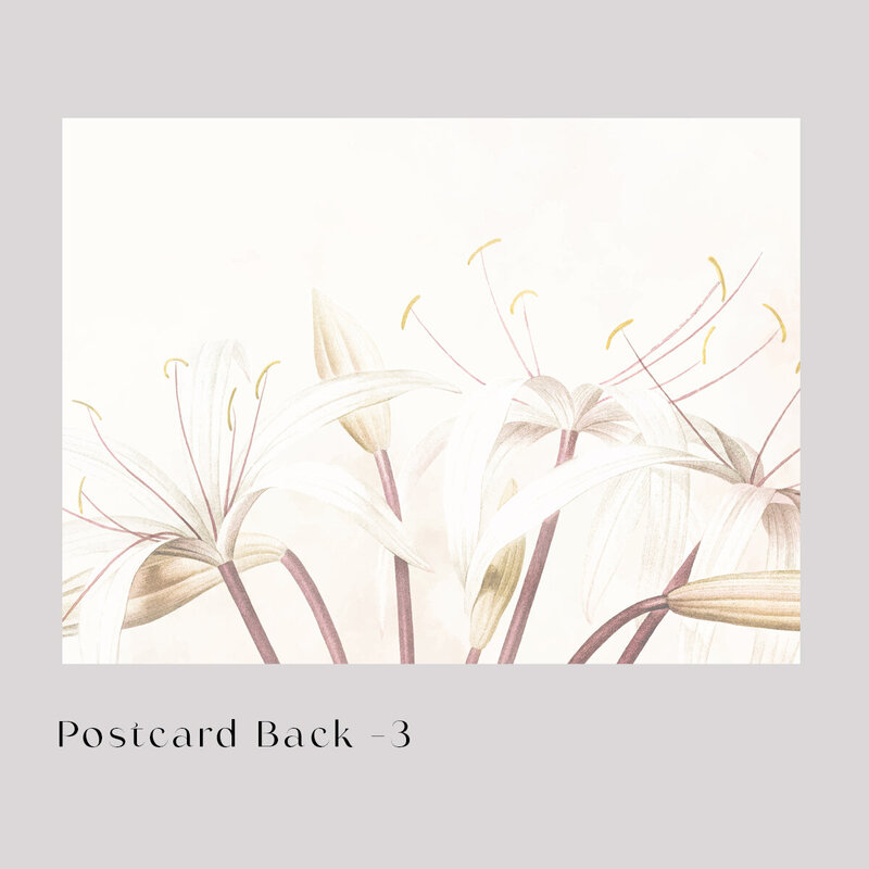 postcard back -3