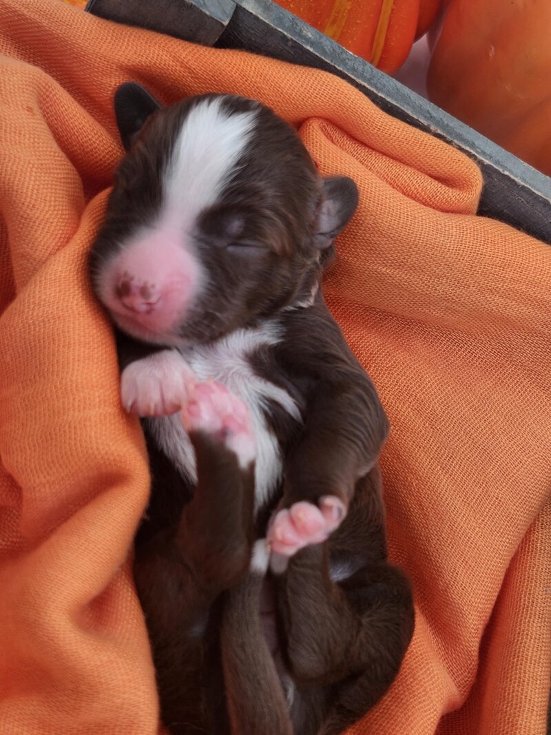 7c61bf62-e1f5-4750-9a8d-58b6e8efe4bc