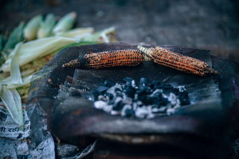 LLL 2019 Week 1 fancycrave-584275-unsplash