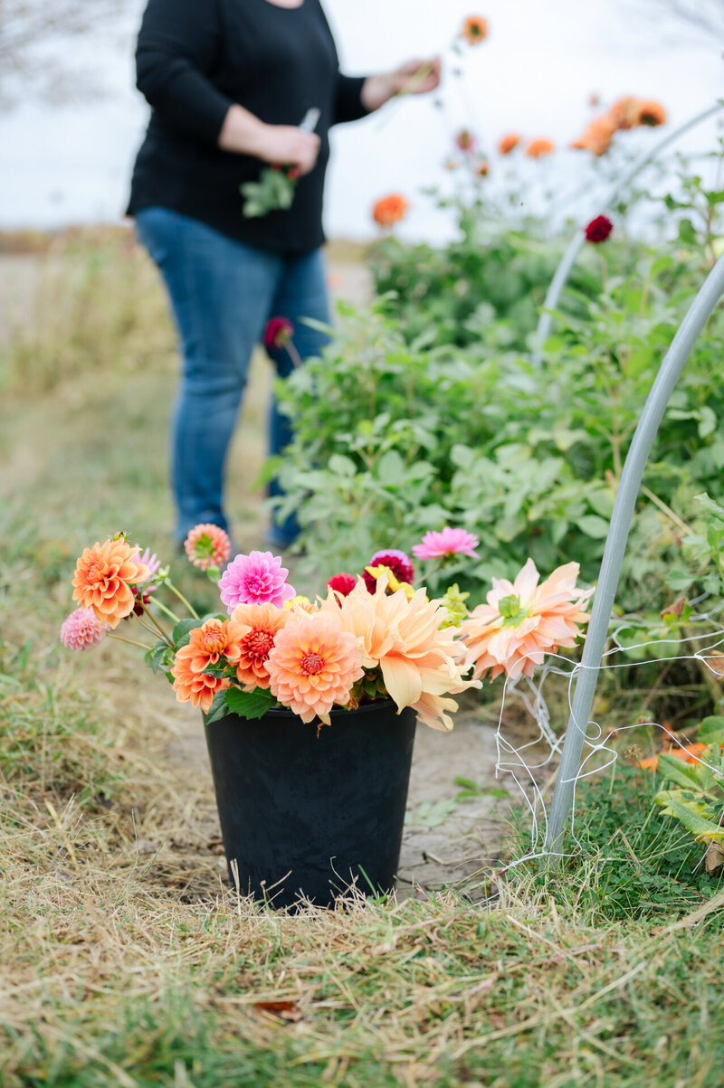 bucket of colorful flowers with woman cutting flowers in the background