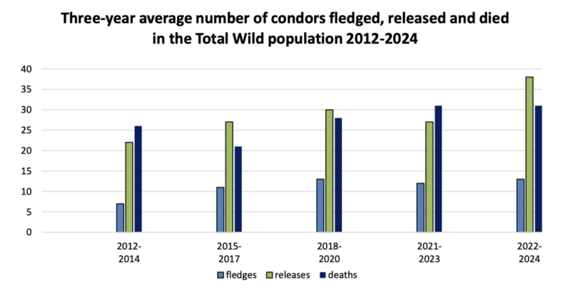 Condor-Population-Graph 02