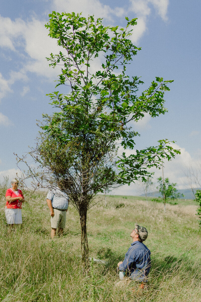 conservation-10