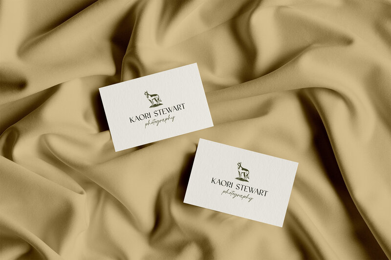 custom brand design for photographer