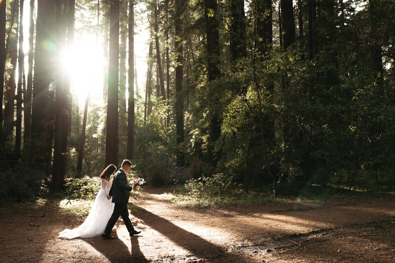 Gorgeous sun rays illuminate a bride and groom during their Henry Cowell Redwoods State Park