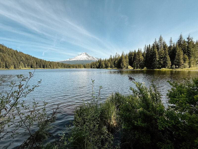 Image of Mount Hood at Trillium Lake.