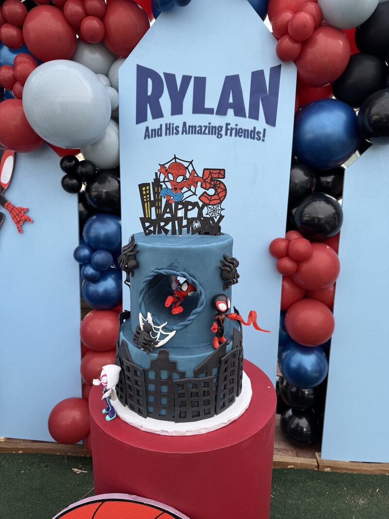 spider man themed birthday party planner heather van halen