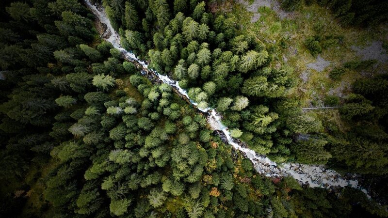 Vue aérienne d’une forêt, représentant le passage entre les mondes par le mouvement