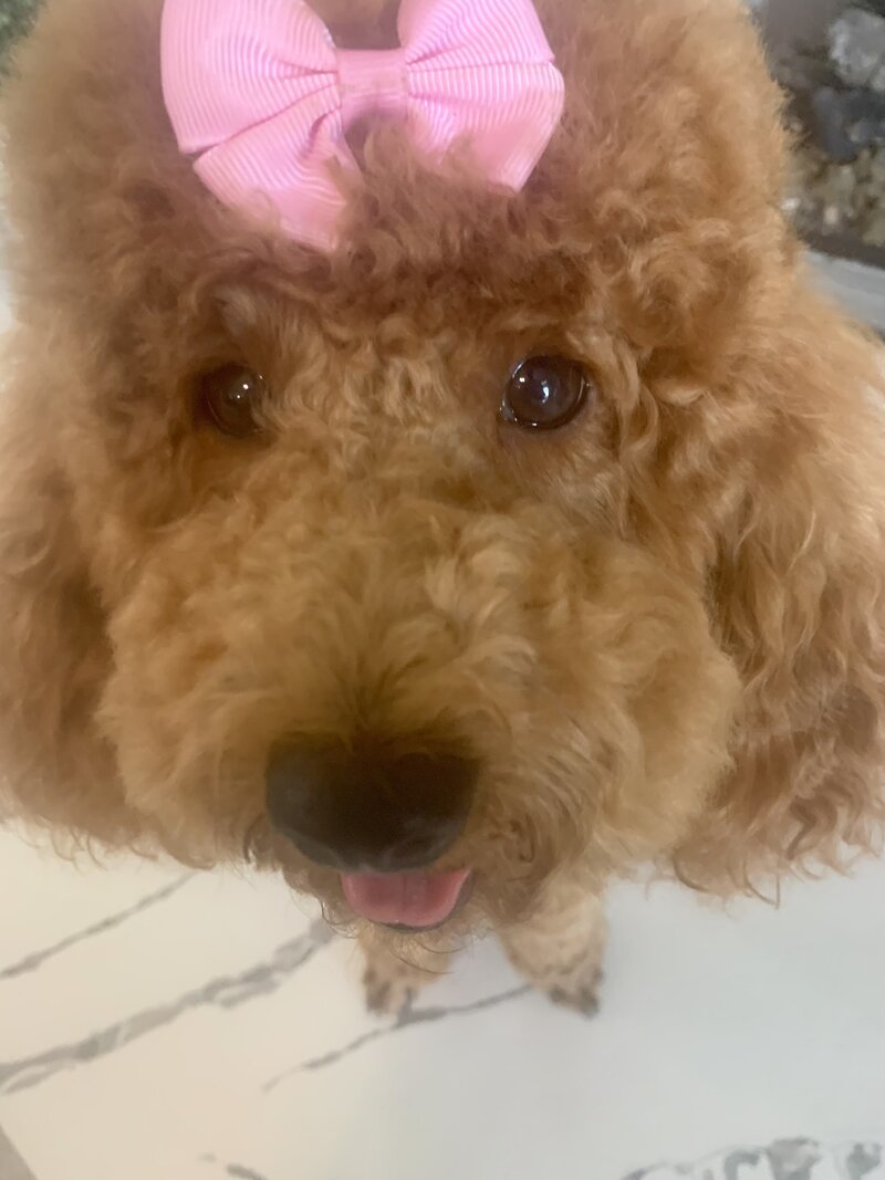 rosie 1