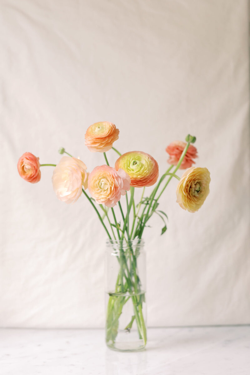 Beauty Orange Ranunculus