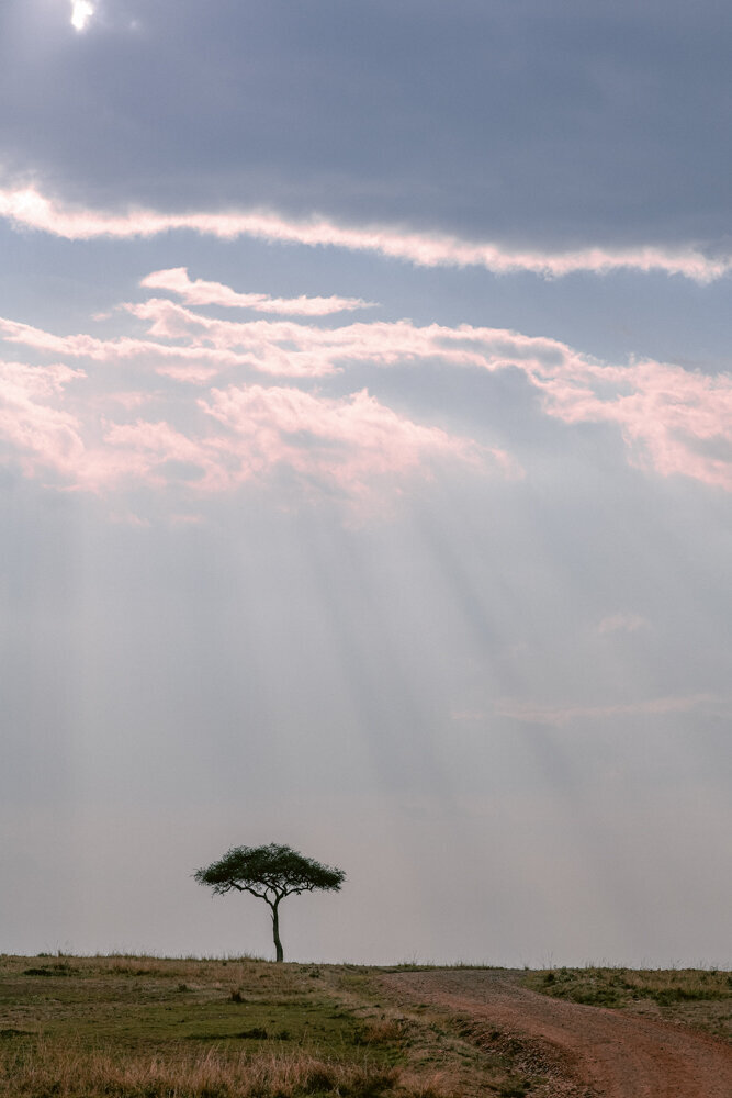 safariedited-167