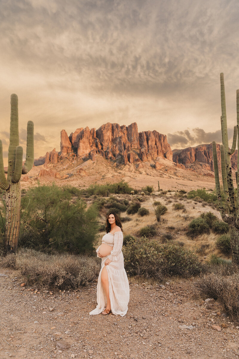 maternity photograph of woman in elegant gown at horeshoe bend arizona