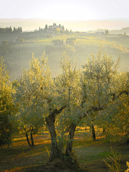 Italian-Countryside1