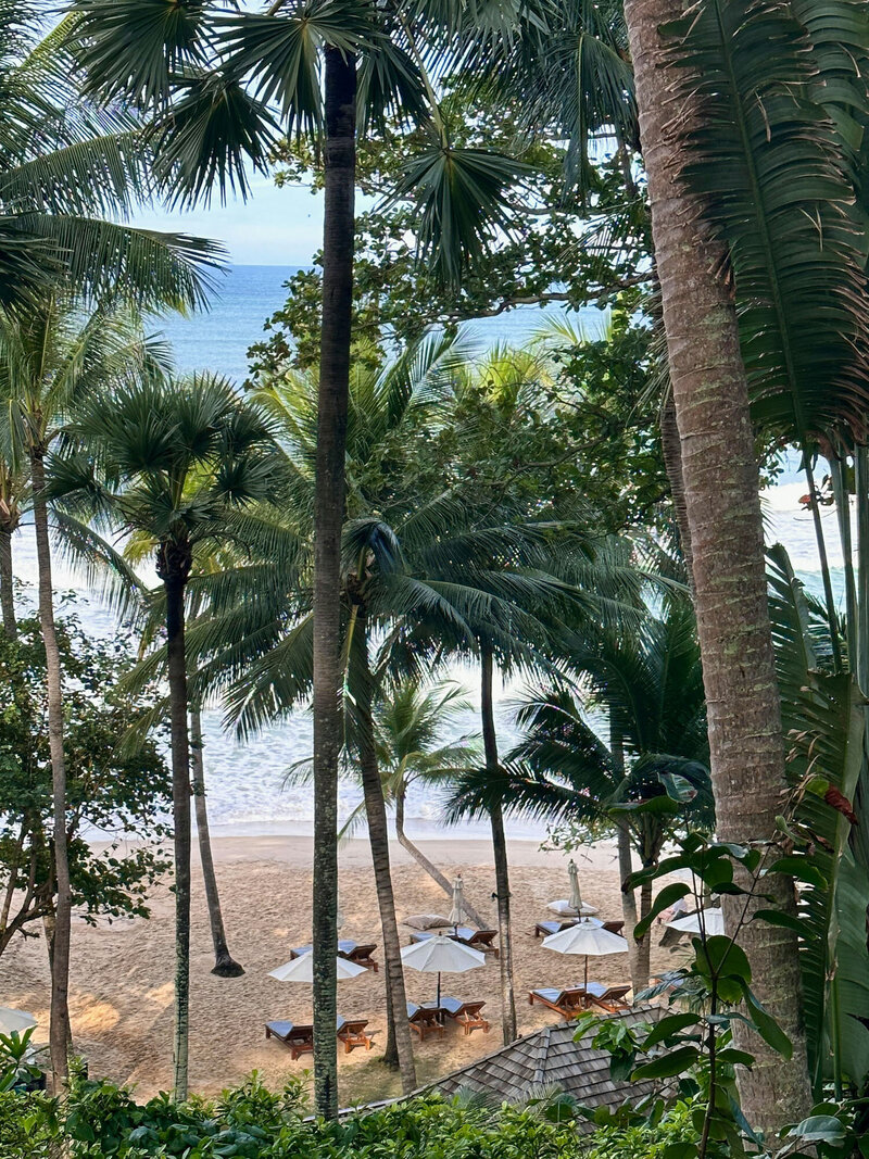 Beach view with palm trees and umbrellas