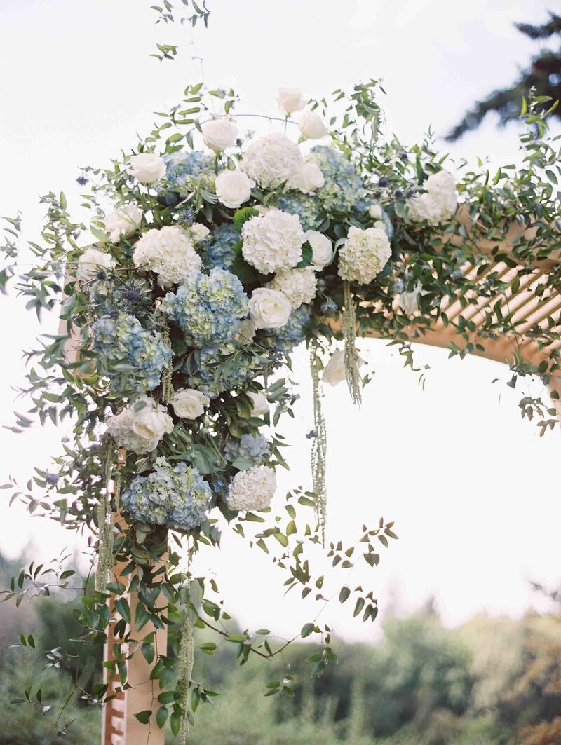 blue and white hydrangea flowers over wooden arch