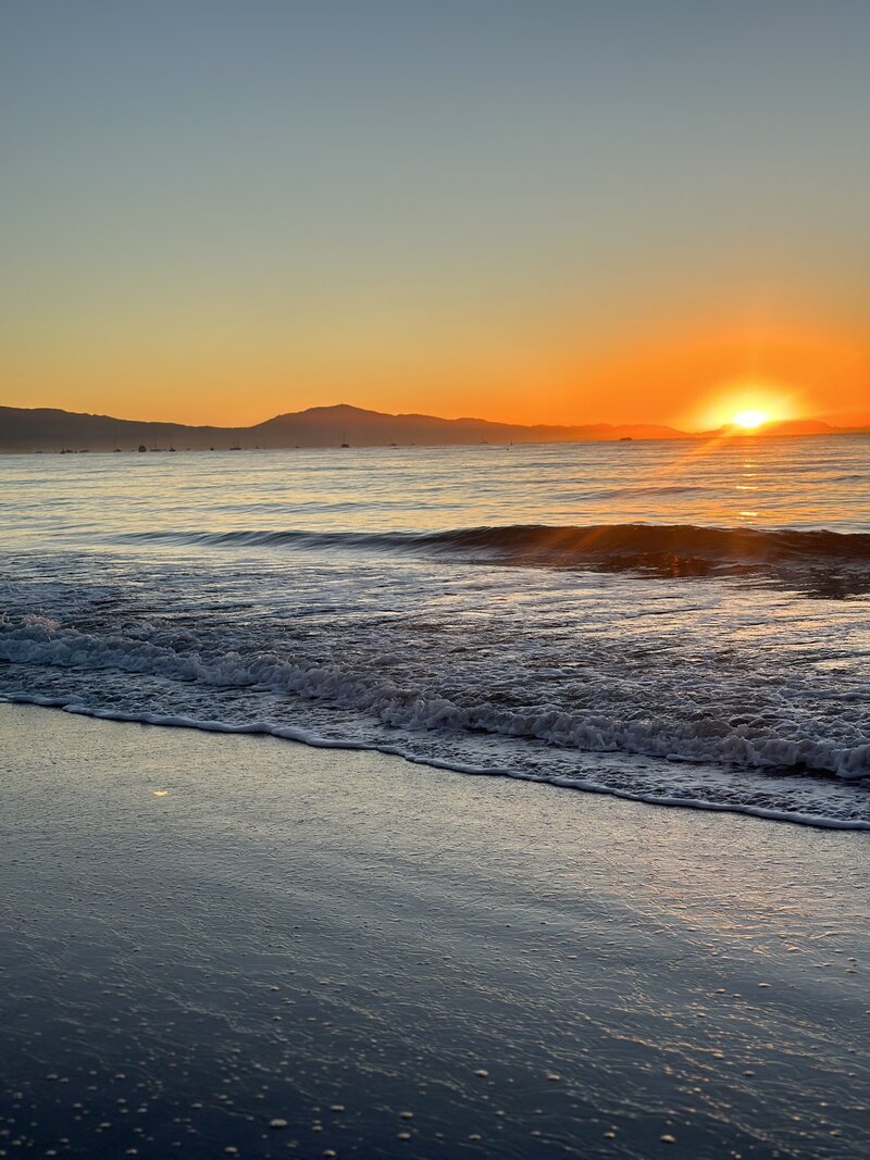 palm trees on the beach with a sunset