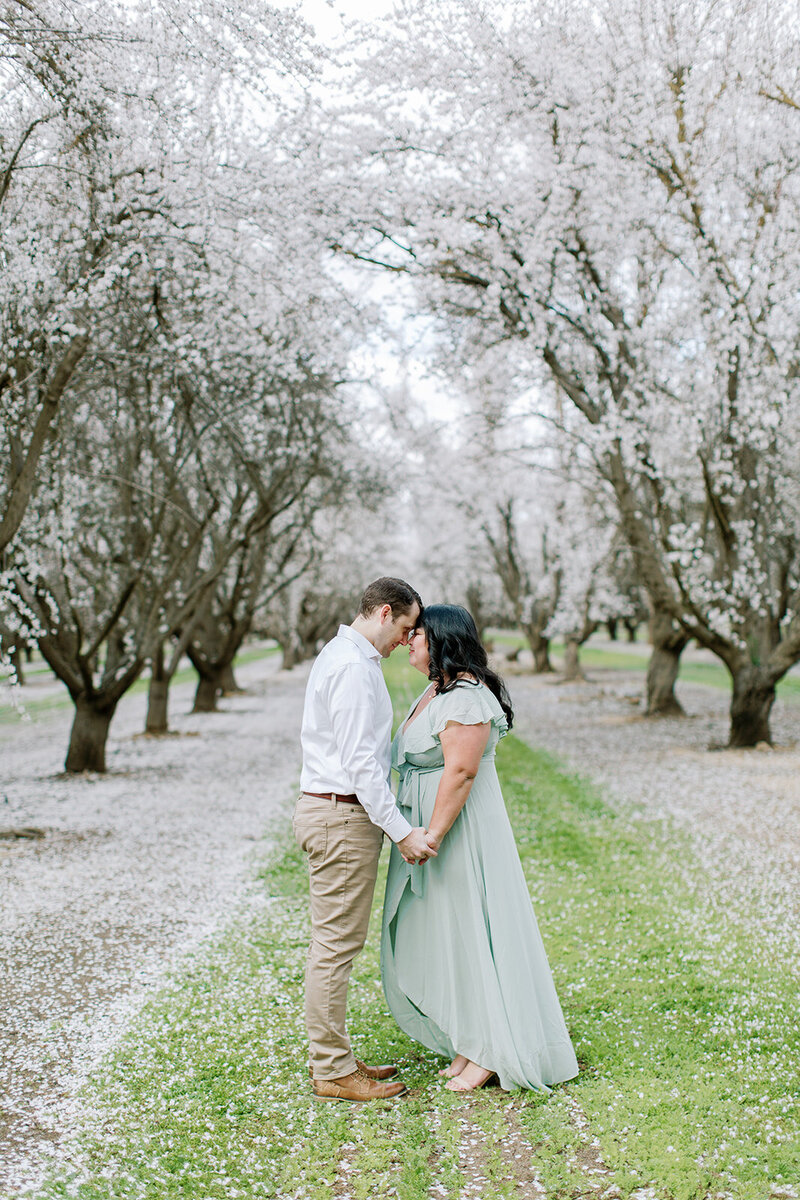Bakersfield Almond Orchard Sessions