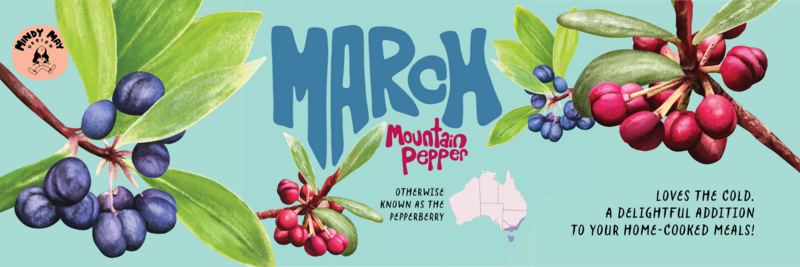 Aussie-bush-tucker-calendar-20253