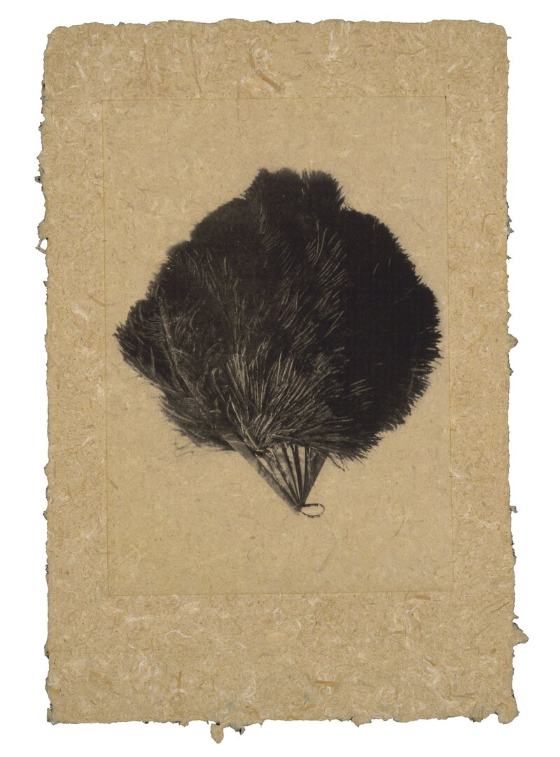 Photogravure by Trina Michelle Robinson of a feathery fan-like form, printed on handmade raffia palm paper with deckled edges.