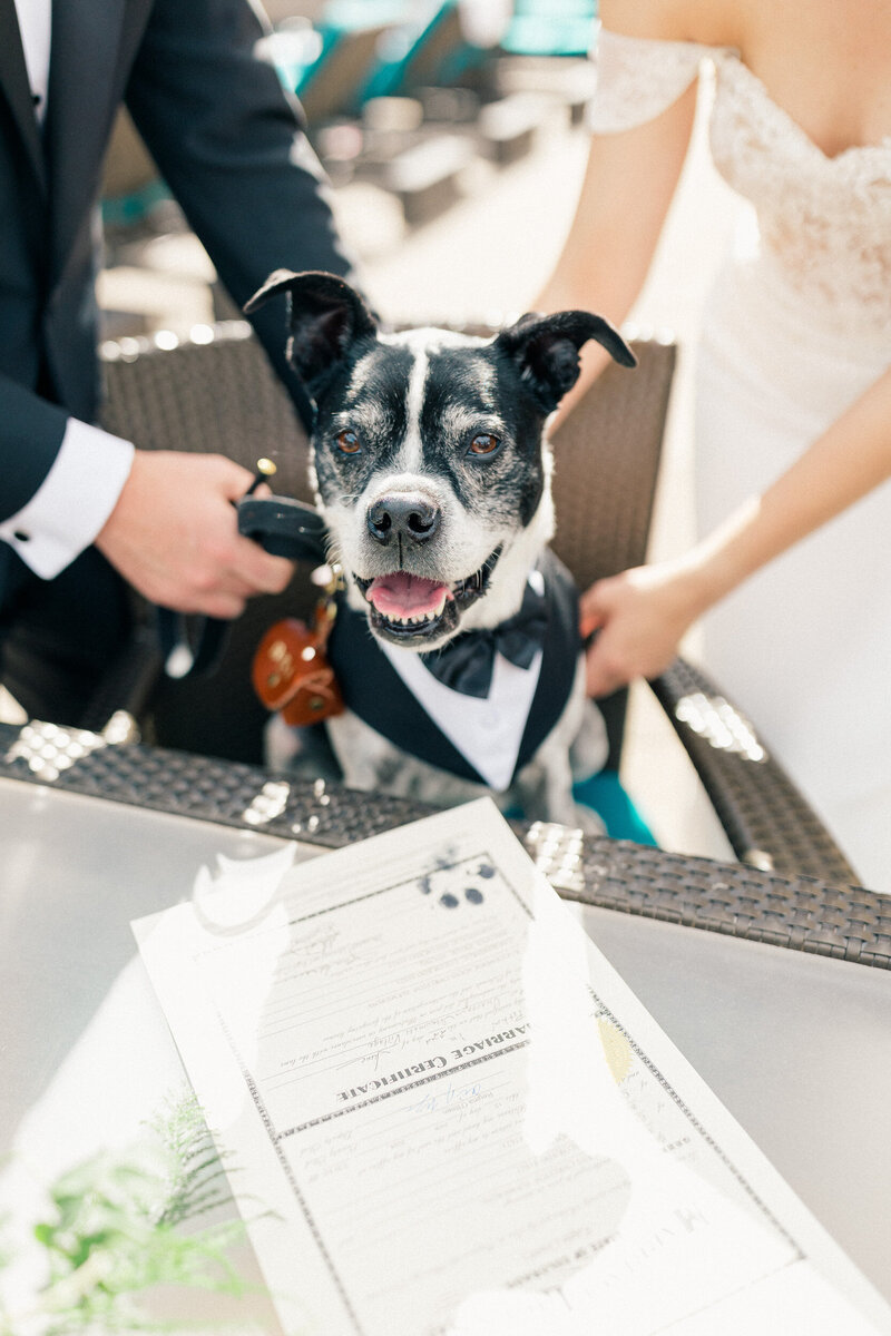 Snowmass-Wedding-Photographer-32