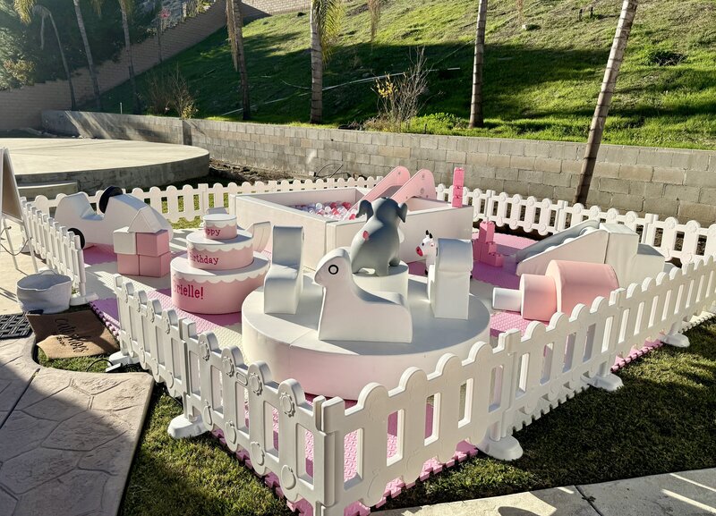 Soft Play at Girls Birthday Party