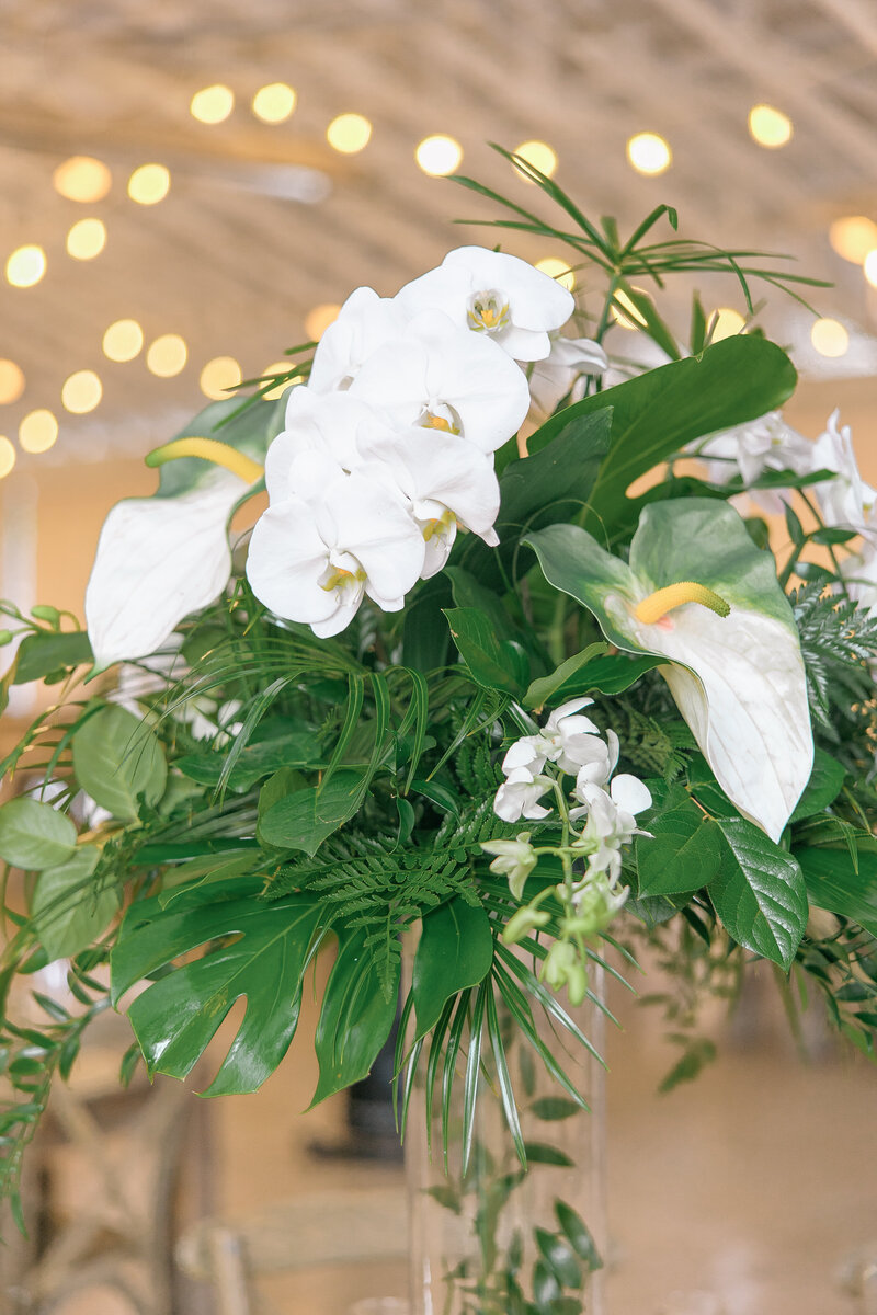 trishalindseyphoto_reception-27-2