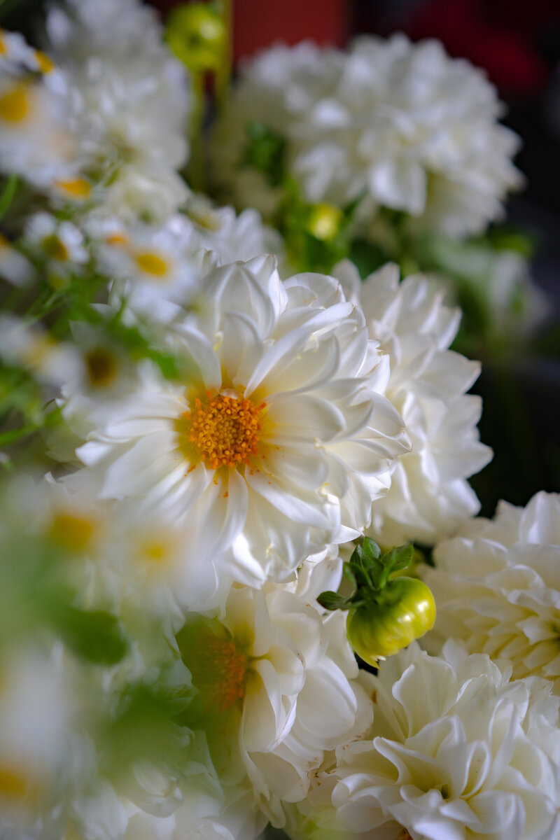 Estúdyo | Top Wedding Florist in Yarra Valley