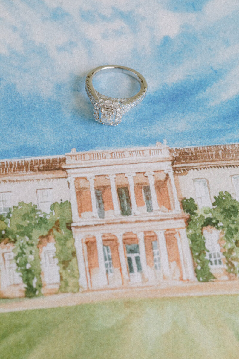 Goodwood-House-Wedding-Photographer-21