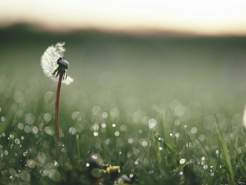 aaron-burden-QIW8ZgJ8MJ0-unsplash