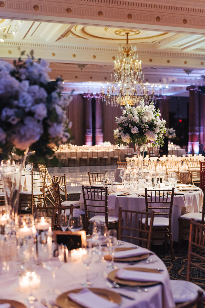 Alexa + Kushal-00310