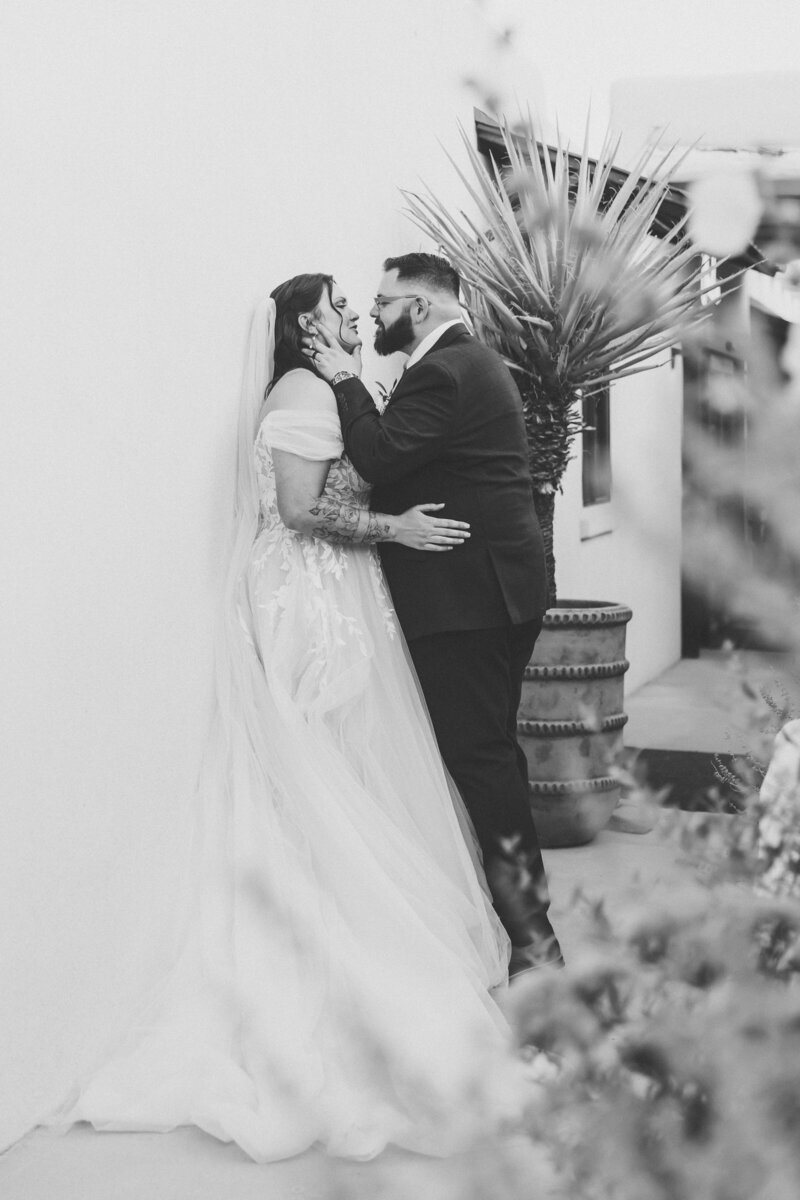 Bride & Groom Portrait Photographer