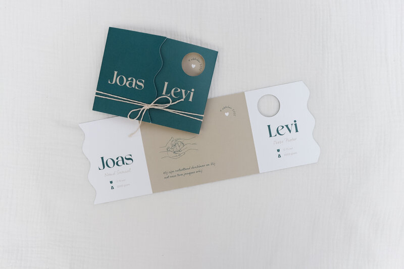Uniek-tweeling-geboortekaartje-met-stansvorm-Joas-Levi-28