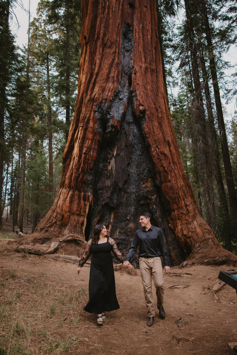 Sequoia National Park Engagement Photographer3507