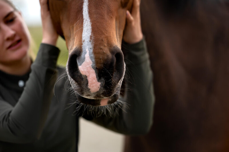 Quinty-van-Tatenhove-Paarden-EnergetischeTherapie