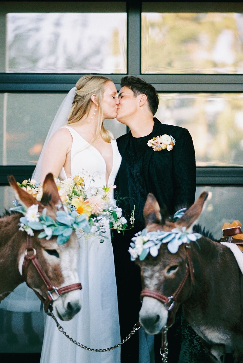 Colorado_Wedding_Photographer_Josie_V_Photography_-212