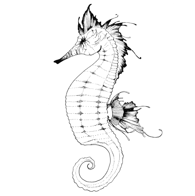 InkSeahorse