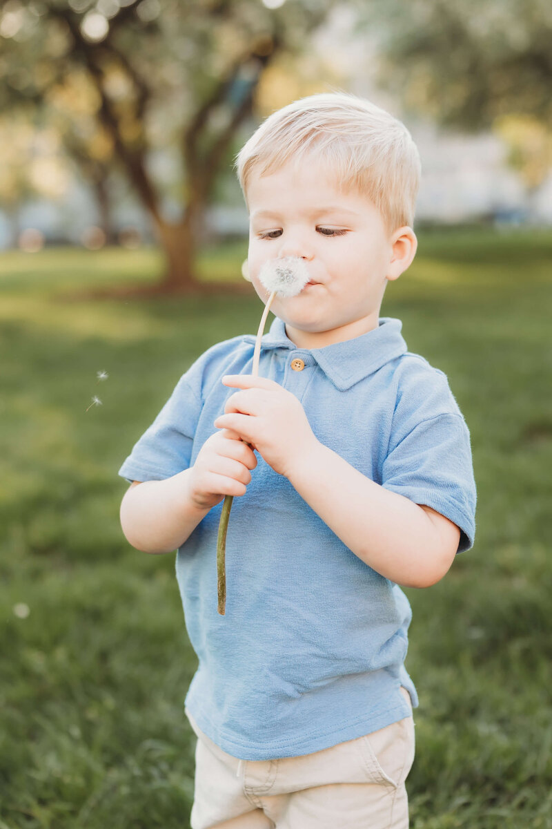 toddler boy making a wish blowing a dandelion
