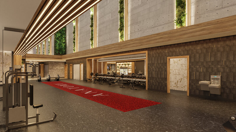 Anatomy Gy Miami Weight Ttraining Zone