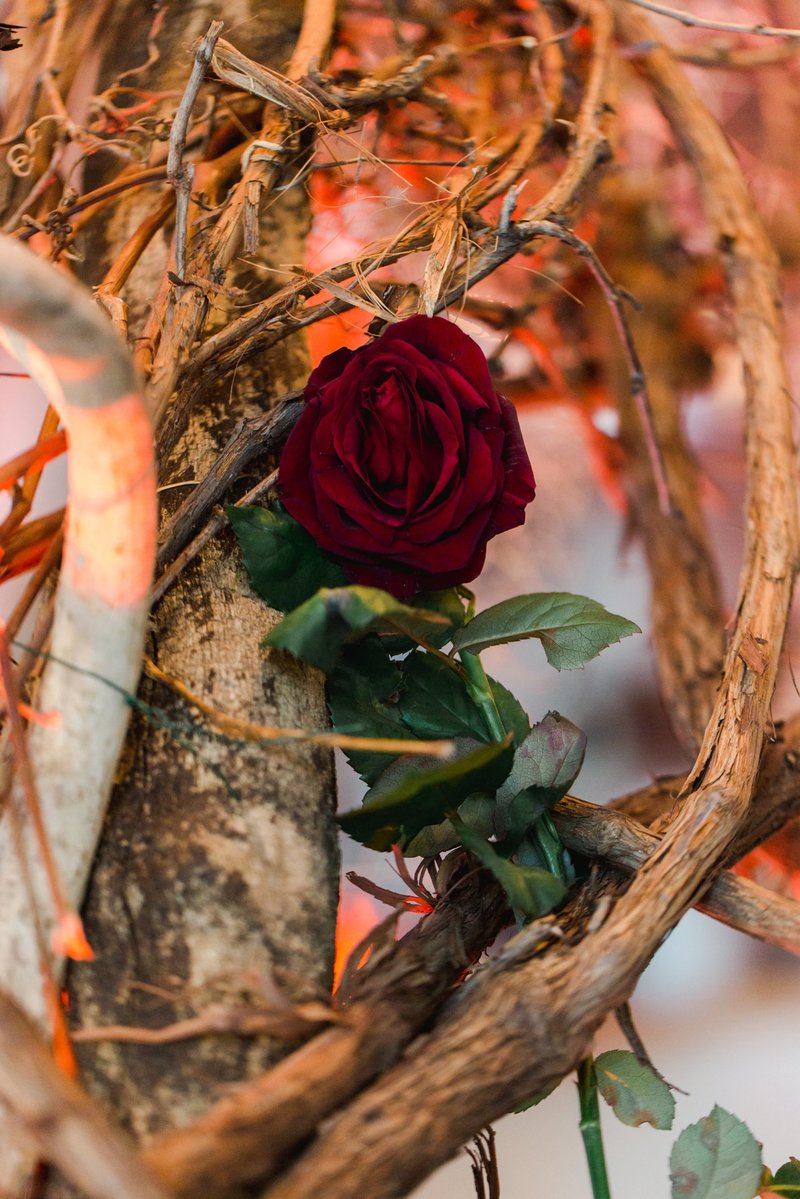 The-Grange-Community-Kitchen-Hamburg-NY-Halloween-Party-Buffalo-Bills-62