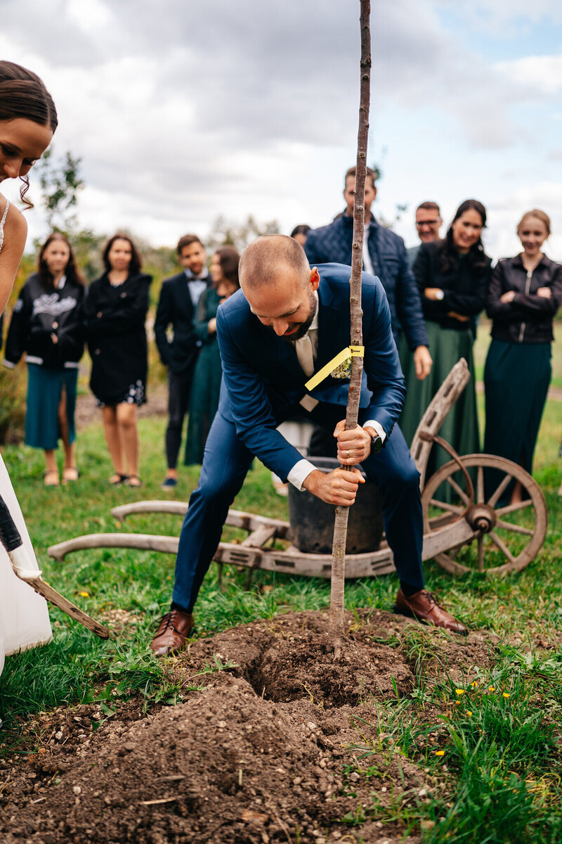 svatba držovická stodola tradiční sázení stromu_3