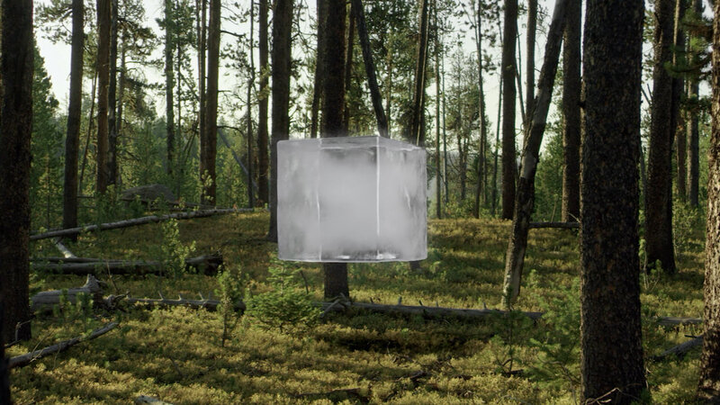 Ember life sciences ember ice cube in forest