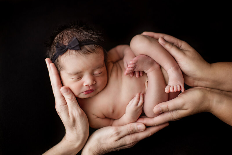 Modern Posed Newborn Studio