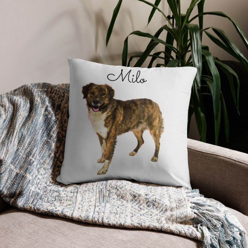 A custom dog pillow with the name Milo on it sits on a couch and is an item sold by Etsy shop Joey