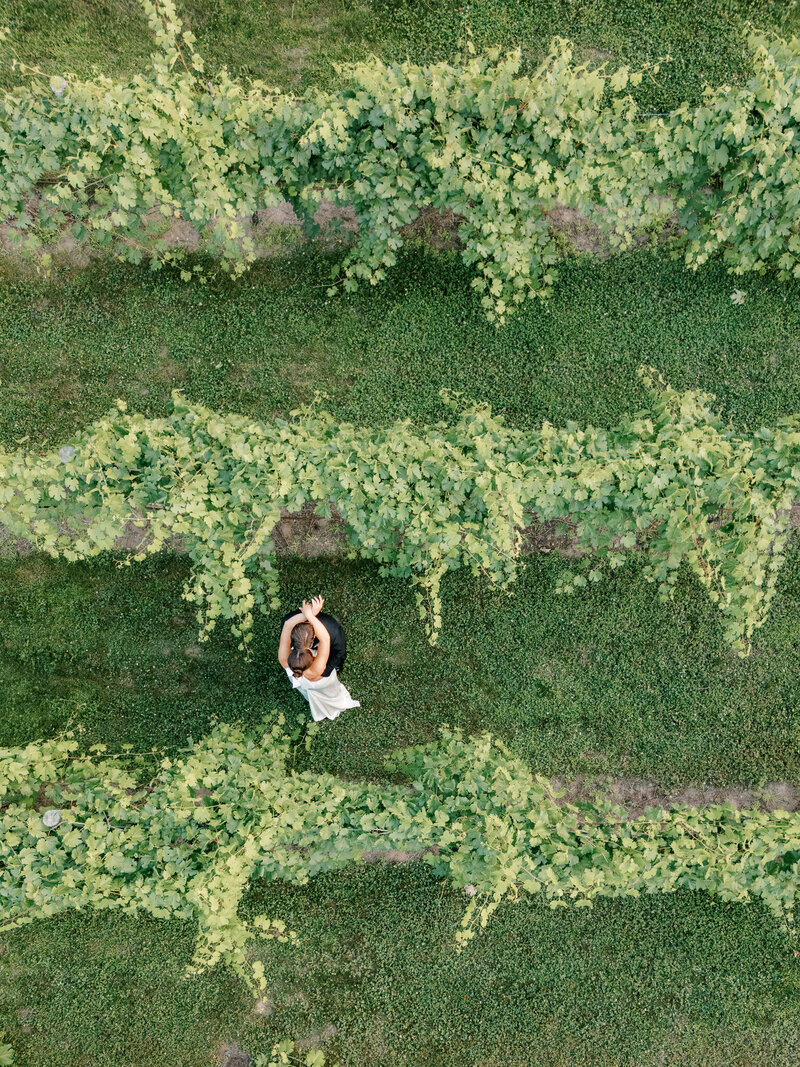 Drone photo of a bride and groom connecting together between vineyard rows at a vineyard wedding venue