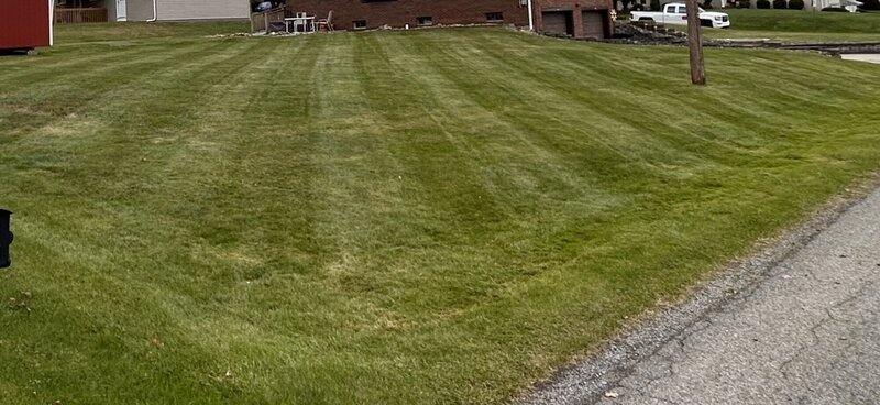 Lawn_2_After