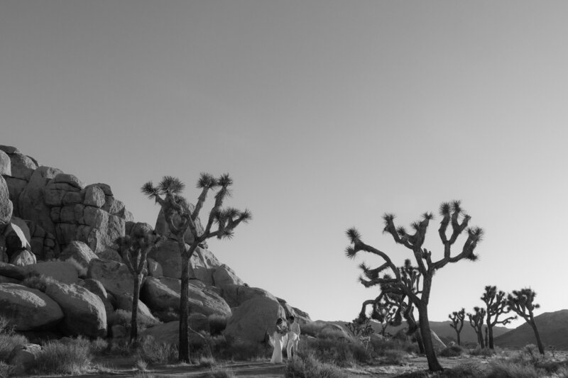 Couple exchanging vows in Joshua Tree National Park