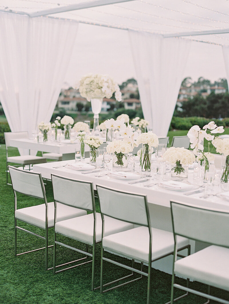 ericastreelman_jenesa and avi-394