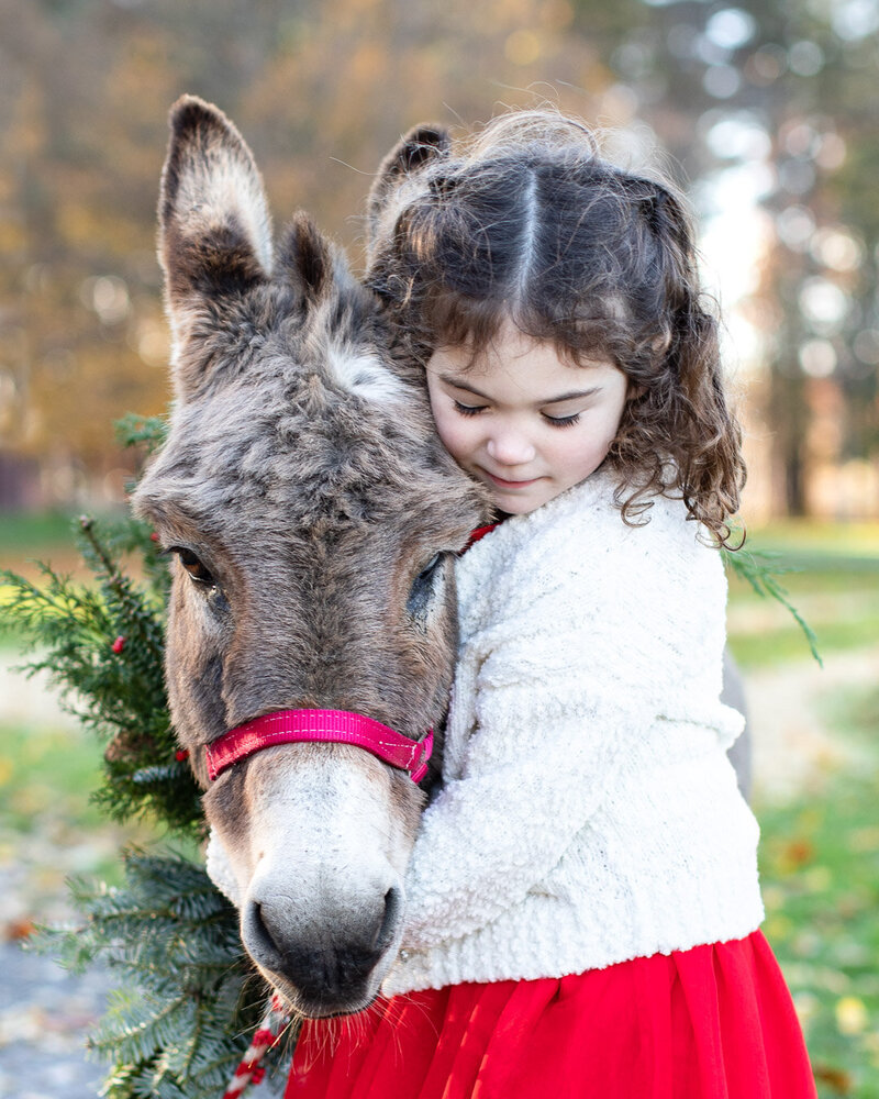Christmas Mini session Photographer Syracuse New York; BLOOM by Blush Wood (5 of 6)